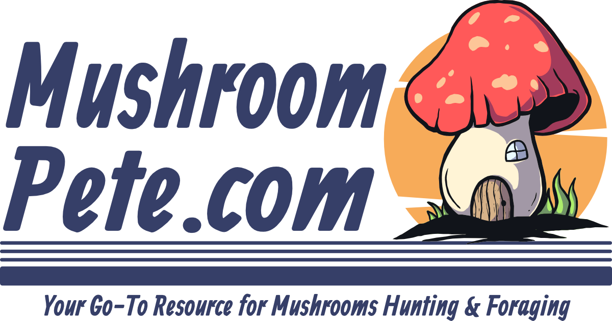 Morel Mushroom Price: A Comprehensive Market Analysis - MushroomPete.com